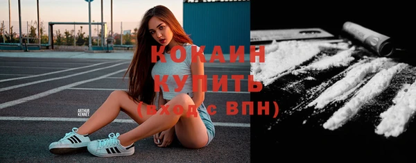 spice Осинники