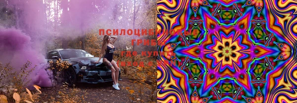 spice Осинники